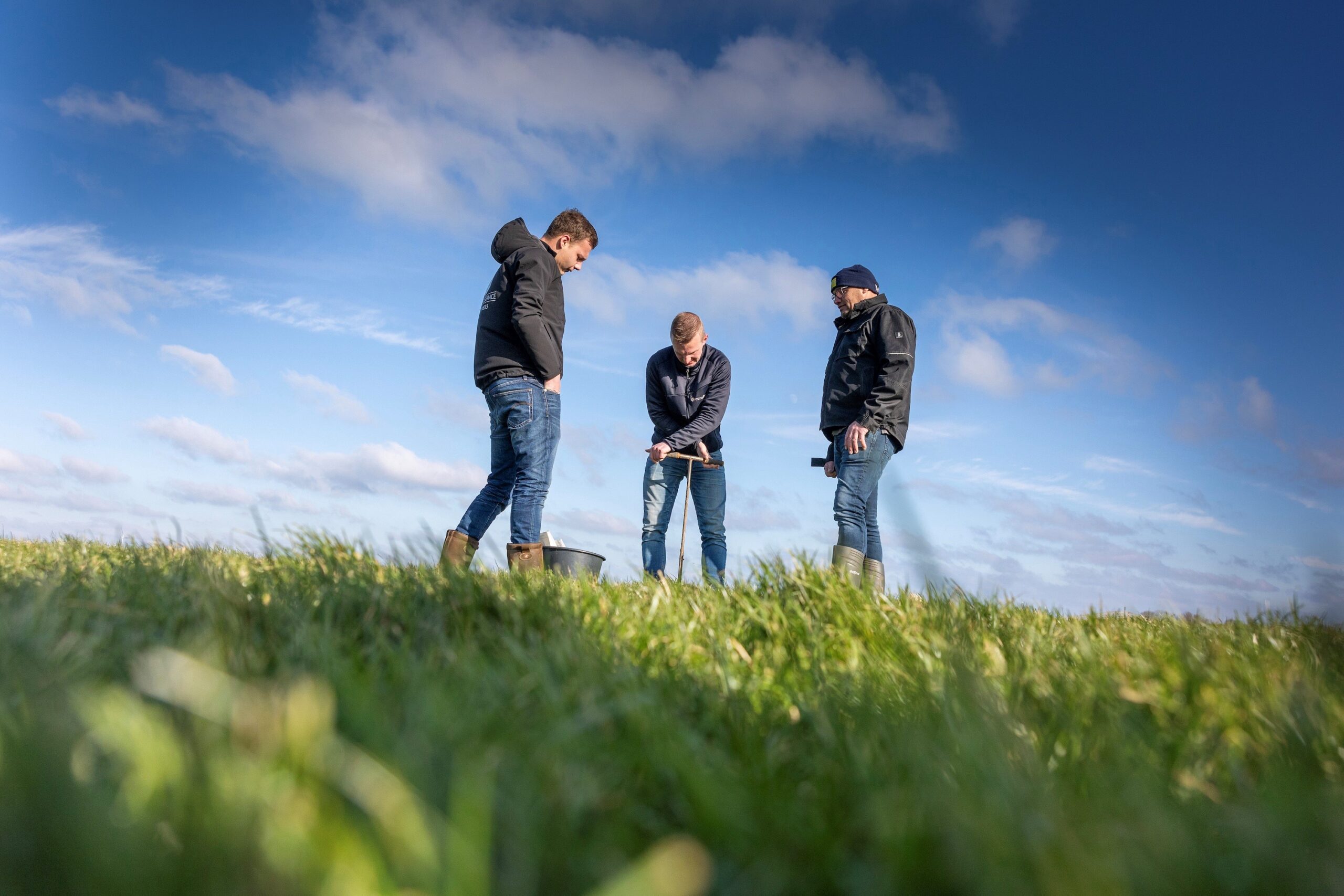 Persbericht: Coöperatie DOC Kaas start koolstofproject Blijvend Grasland